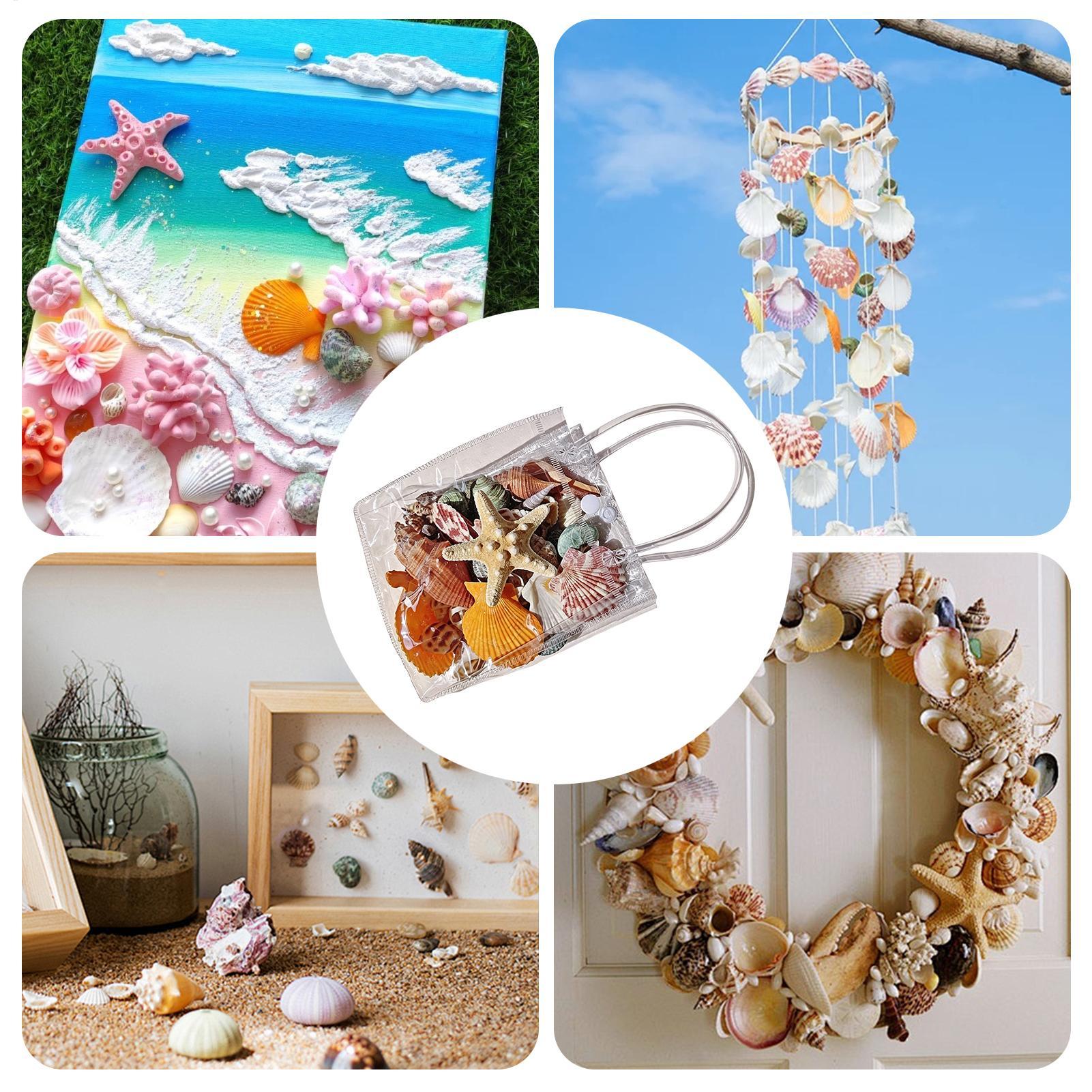 Tiny Seashells For Crafts Natu - Candle Making For Kids 评论和价格