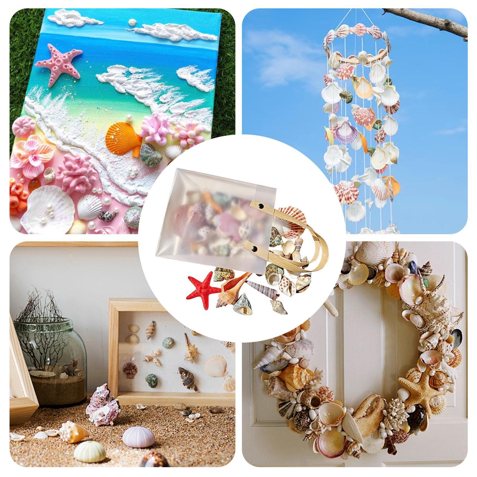 Tiny Shells Natural Sea Theme  - Candle Making For Kids 评论和价格