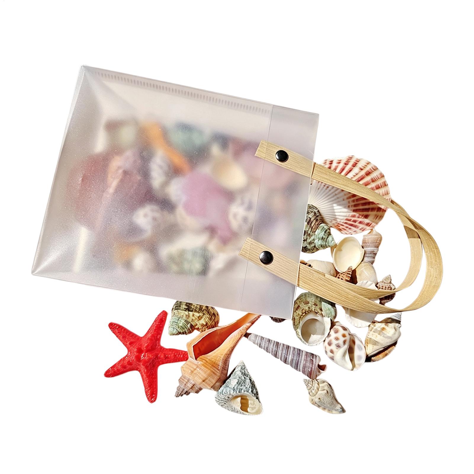 Tiny Seashells for Crafts Natu - Candle Making For Kids 评论和价格