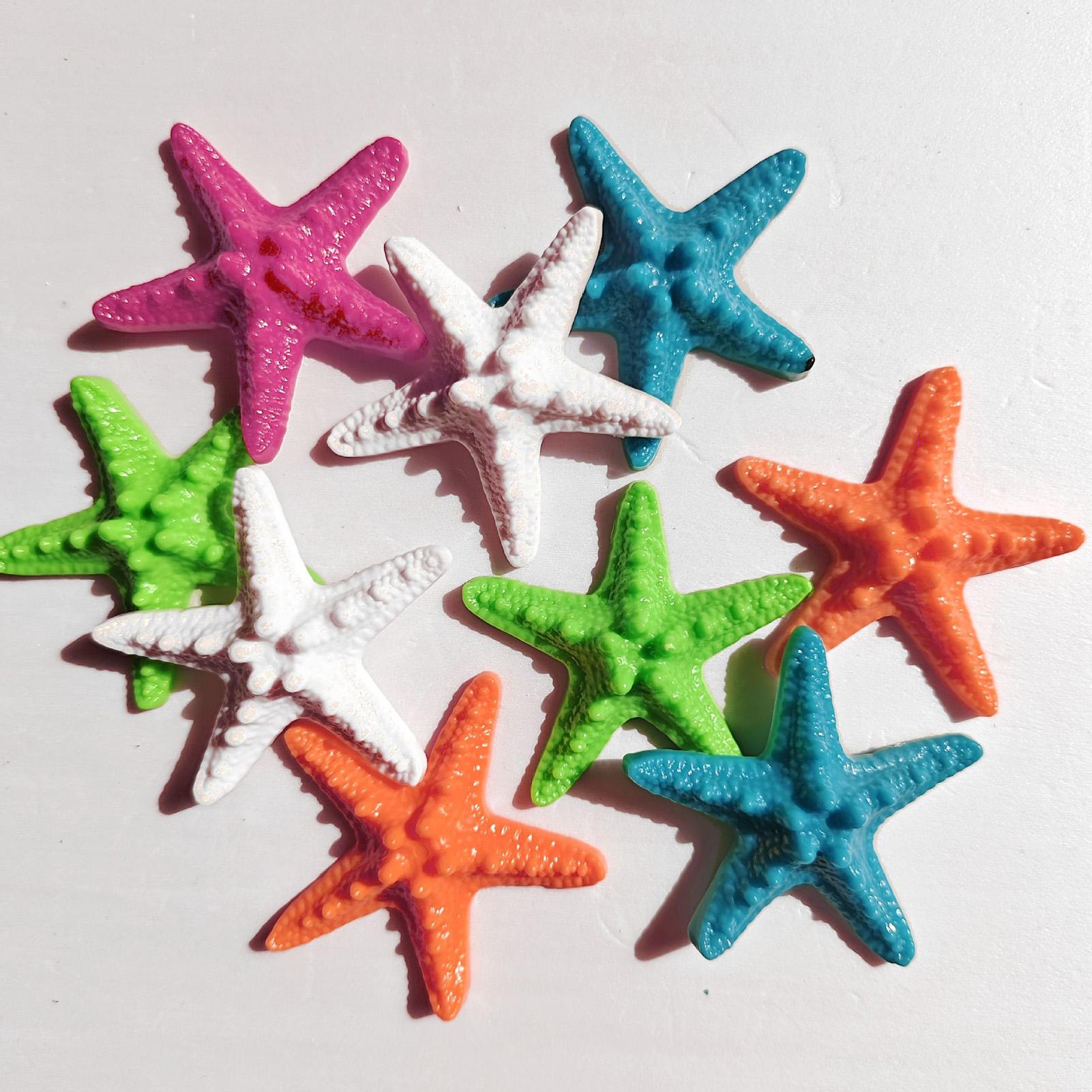 Tiny Seashells Natural Sea The - Candle Making For Kids 评论和价格